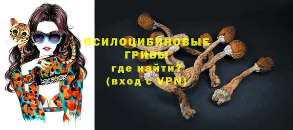 гашик Бородино