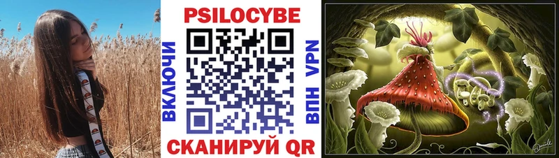 Галлюциногенные грибы Psilocybe  Армавир 