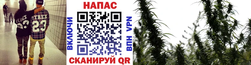 Бошки марихуана MAZAR  darknet какой сайт  Армавир 